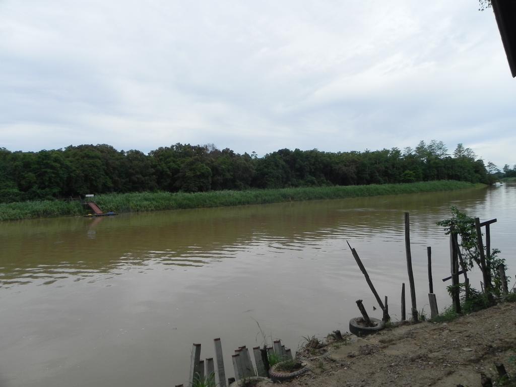 Borneo Natural Sukau Bilit Resort Eksteriør bilde