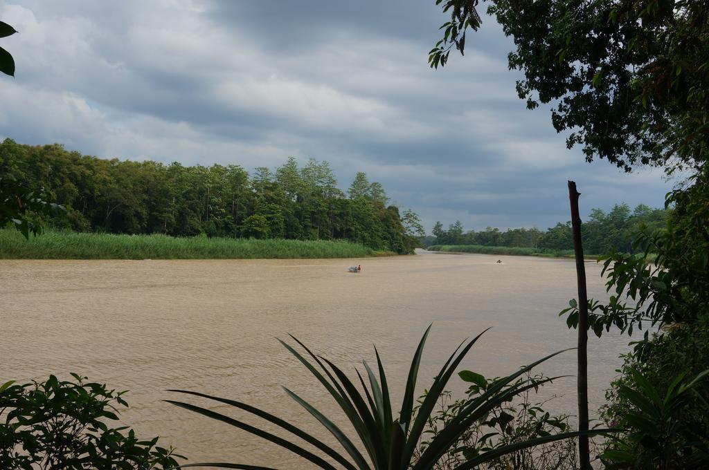 Borneo Natural Sukau Bilit Resort Eksteriør bilde